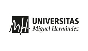 MBA en Alicante - Universidad Miguel Hernández